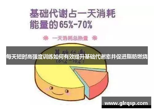 每天短时高强度训练如何有效提升基础代谢率并促进脂肪燃烧