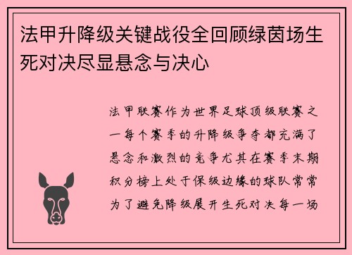 法甲升降级关键战役全回顾绿茵场生死对决尽显悬念与决心